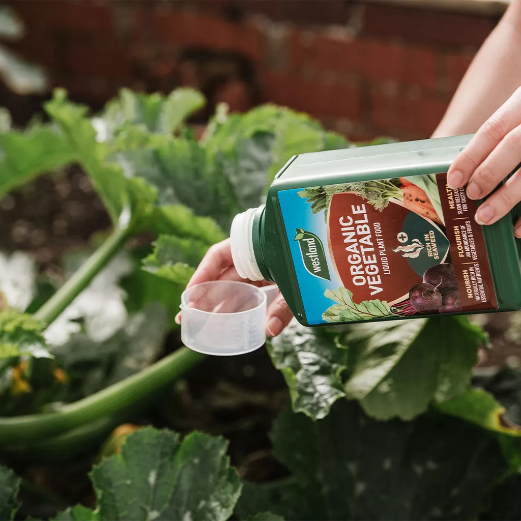 Westland Organic Vegetable Liquid Plant Food 1L - Image 4