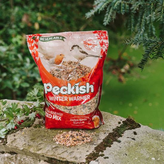 Peckish Winter Warmer Seed Mix 1kg - Image 4