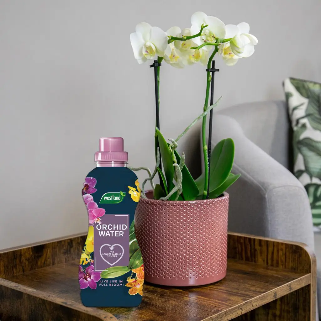Westland Orchid Water 720ml - Image 3