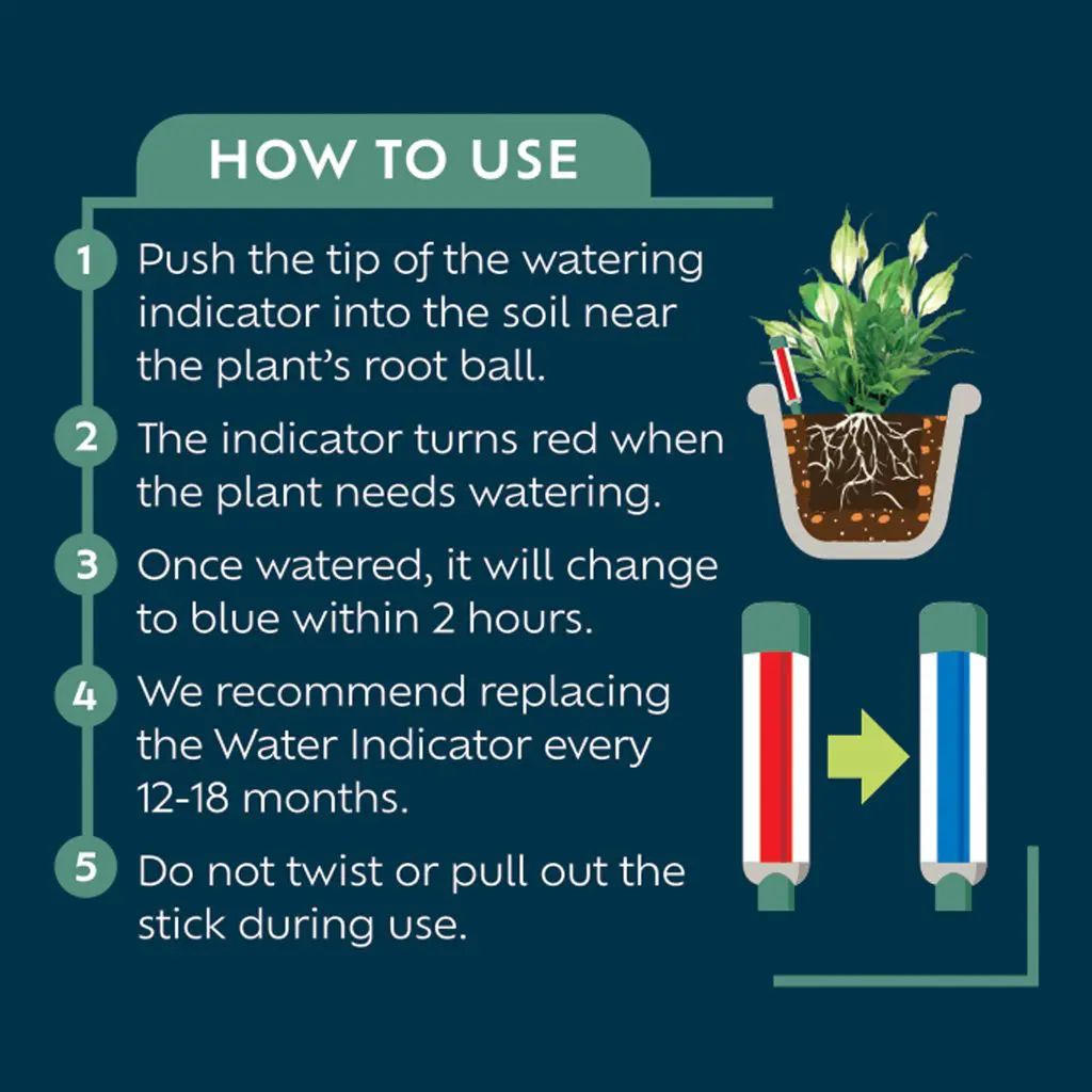 Westland Houseplant Watering Indicator Stick - Small - Image 3