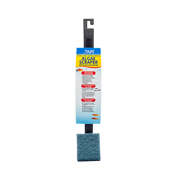 API Algae Scraper Extra Large For Glass
